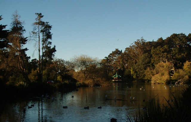 Stow Lake Camera Grab Injures 1 As Trend Continues