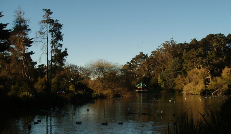 Stow Lake Camera Grab Injures 1 As Trend Continues