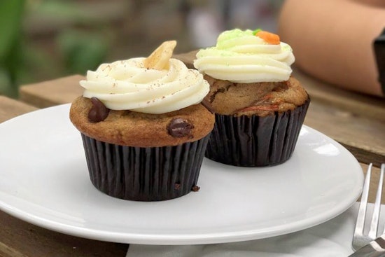 Your guide to the 5 top spots in San Antonio's Alta Vista neighborhood