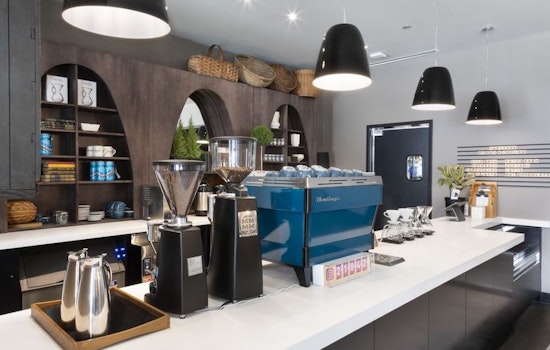 Eclectic mix of businesses open up shop in Chicago