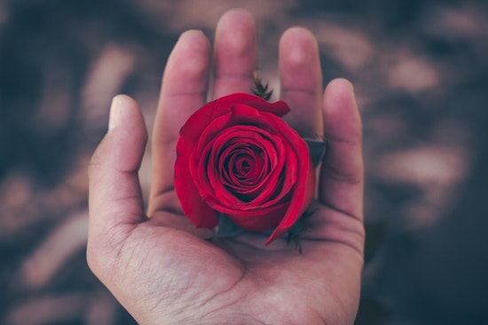 4 romantic food and drink events to celebrate Valentine's Day in Chicago this week