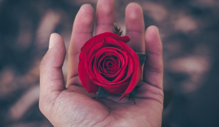 4 romantic food and drink events to celebrate Valentine's Day in Chicago this week