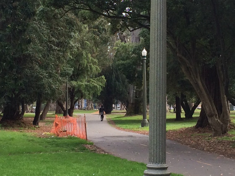 5 Events To Carry You Through A Quiet Weekend In The Upper Haight