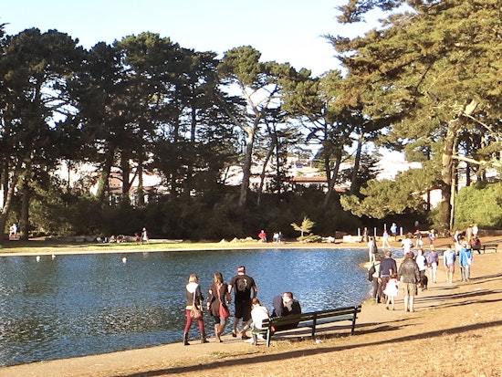 9 Ways To Get Off The Internet In The Outer Sunset This Week