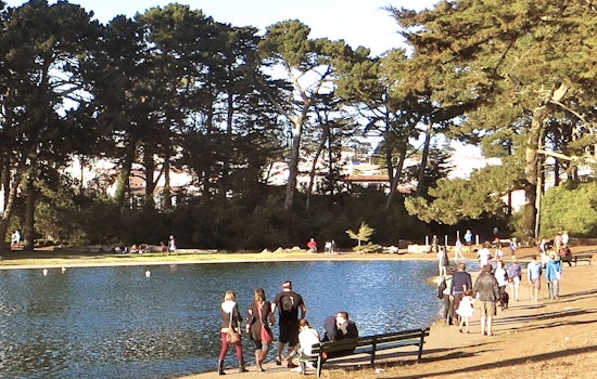 9 Ways To Get Off The Internet In The Outer Sunset This Week