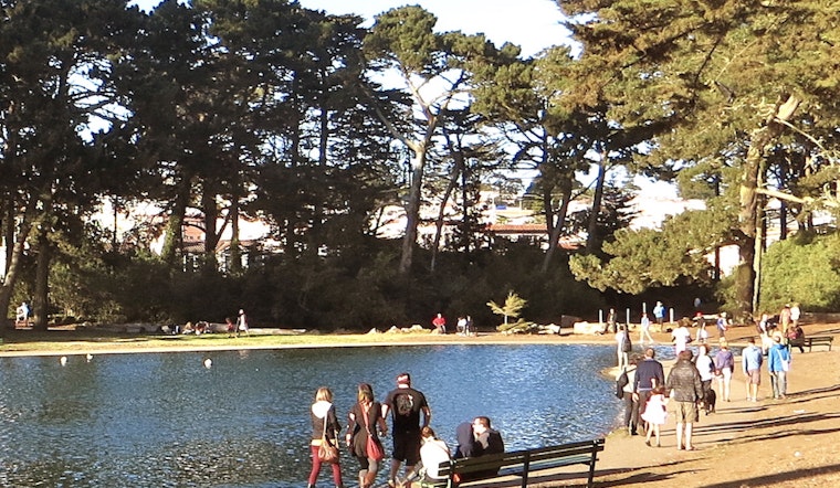 9 Ways To Get Off The Internet In The Outer Sunset This Week