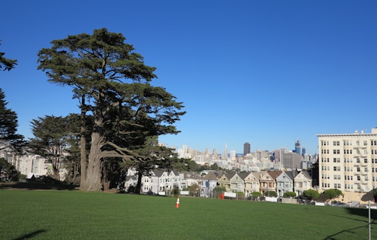Your Alamo Square Park Progress Report