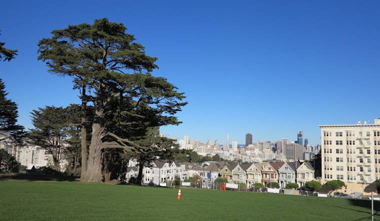 Your Alamo Square Park Progress Report