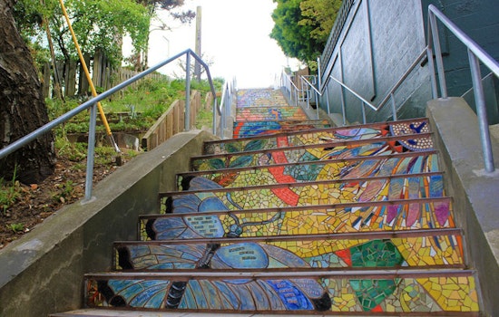 We Asked, You Answered: The Best Things About The Inner Sunset