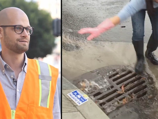 The Great Leaf Catcher, Puuurple Drainnnn: San Francisco Residents Adopt Drains To Prevent Flooding