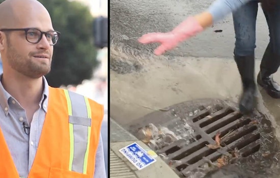 The Great Leaf Catcher, Puuurple Drainnnn: San Francisco Residents Adopt Drains To Prevent Flooding