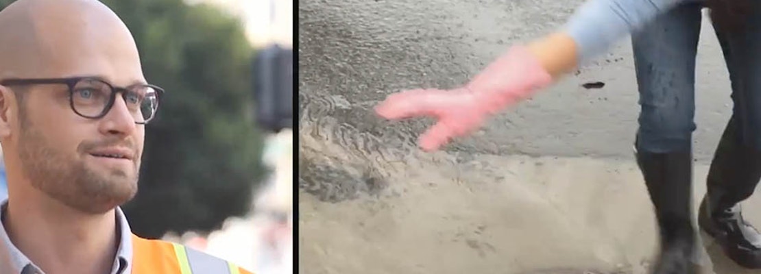 The Great Leaf Catcher, Puuurple Drainnnn: San Francisco Residents Adopt Drains To Prevent Flooding