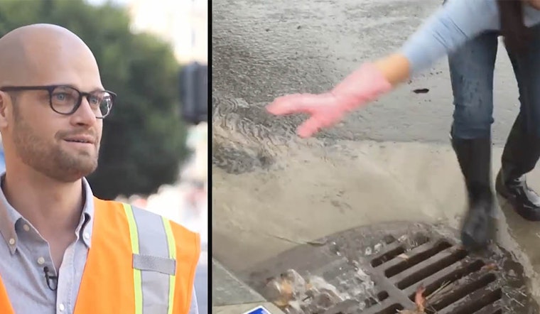 The Great Leaf Catcher, Puuurple Drainnnn: San Francisco Residents Adopt Drains To Prevent Flooding