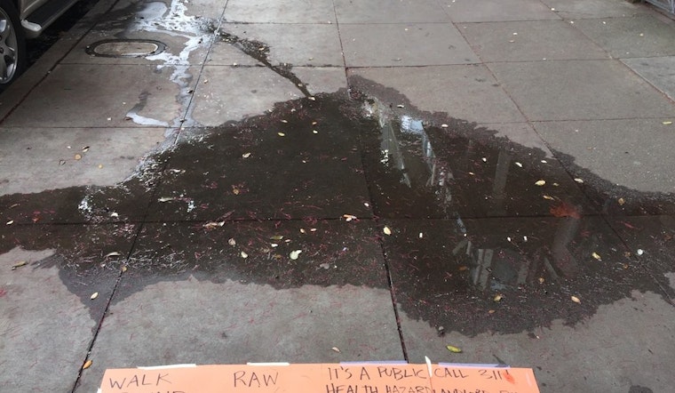 Despite 311 Calls, Cole Valley Sidewalk Sewer Leak Vexes Pedestrians [Updated]