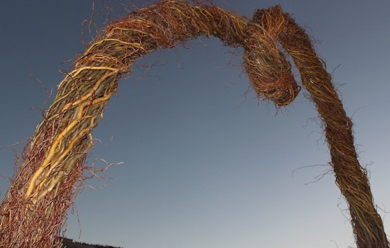 13-Foot Willow Branch Archway And Towers Rise Over Kezar Triangle