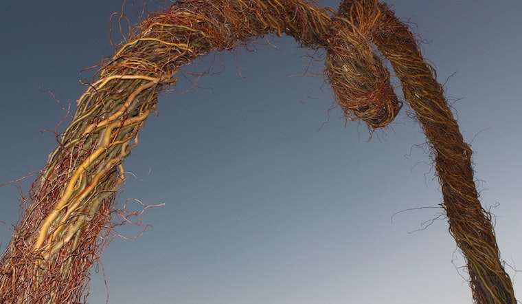 13-Foot Willow Branch Archway And Towers Rise Over Kezar Triangle
