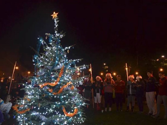 Brave The Cold For These 8 Outer Sunset Events