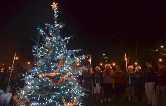 Brave The Cold For These 8 Outer Sunset Events