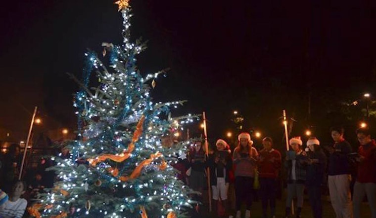 Brave The Cold For These 8 Outer Sunset Events