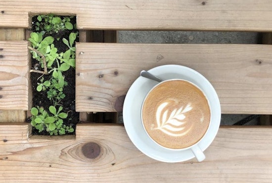 4 new businesses to check out in the West Village