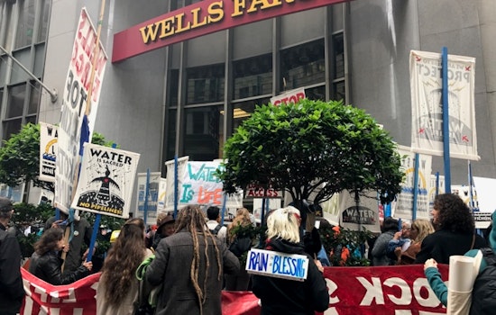 Hot Off The Tipline: Plant Vandal & Mail Thief Strike Again, San Franciscans Protest NADPL, More