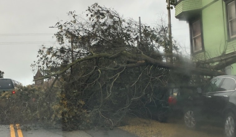 Continuing high winds and rain down multiple trees, close city golf courses [Updated]