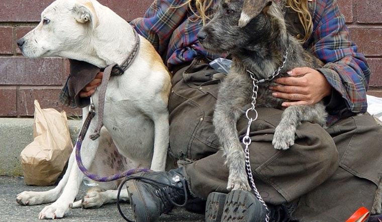 Vet SOS, SPCA Keep San Francisco’s Homeless Pets Healthy