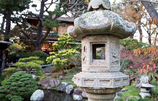 Finding History And Tranquility At The Japanese Tea Garden