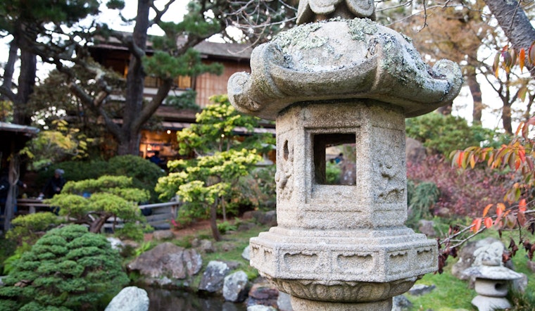 Finding History And Tranquility At The Japanese Tea Garden