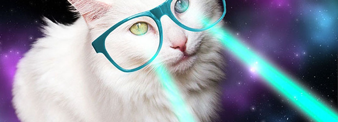 Apawture Studios Brings Lights, Hair, Costumes To Pet Photography