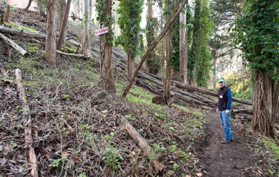 SF Urban Riders And Laguna Honda Open Up Long-Forgotten Trails
