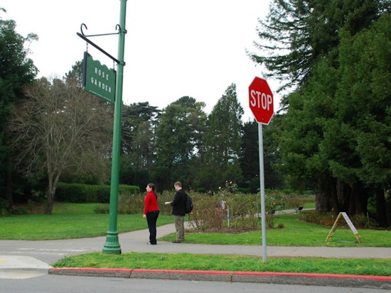 Woman Gives Birth Behind Golden Gate Park's Rose Garden [Updated]
