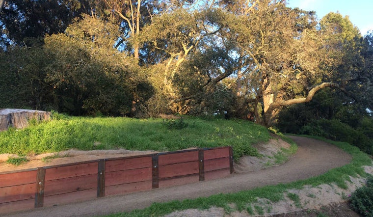 Revamp of Golden Gate Park's Oak Woodlands to debut tomorrow