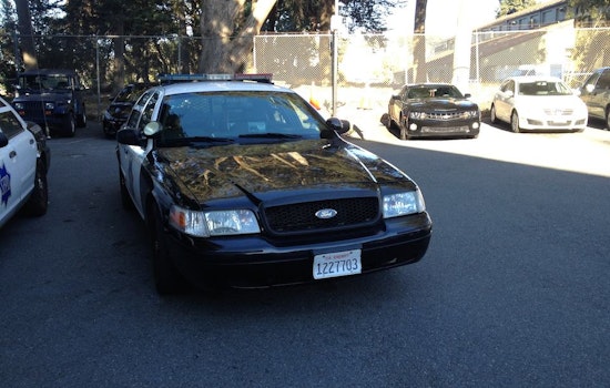 Property Crime Down In Park District, But Hot Prowl Burglaries Continue