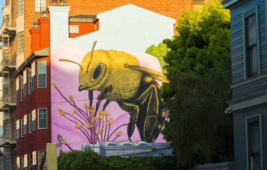 What's The Best Thing About Hayes Valley?