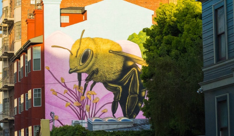 What's The Best Thing About Hayes Valley?