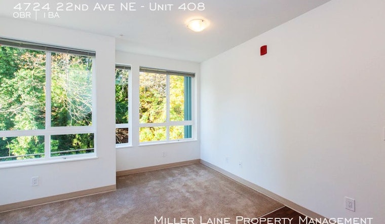Explore today's cheapest rentals in the University District of Seattle