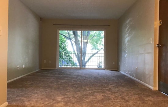 Renting in Hyde Park: What will $900 get you?