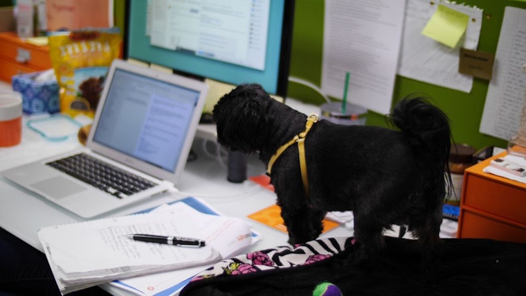 Getty Images nets $100 million, plus more funding news for Seattle software companies