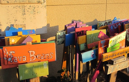 Can You Dig It? A Look At 11 Community Gardens Around Oakland