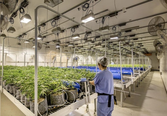 Caliva nets $75 million, plus more top funding news for San Jose companies