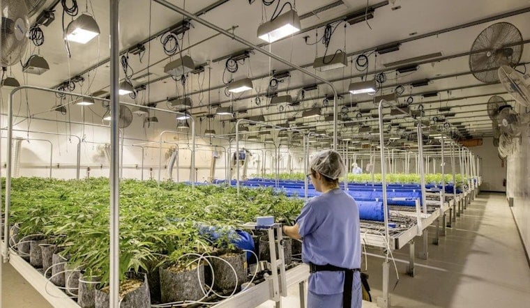 Caliva nets $75 million, plus more top funding news for San Jose companies