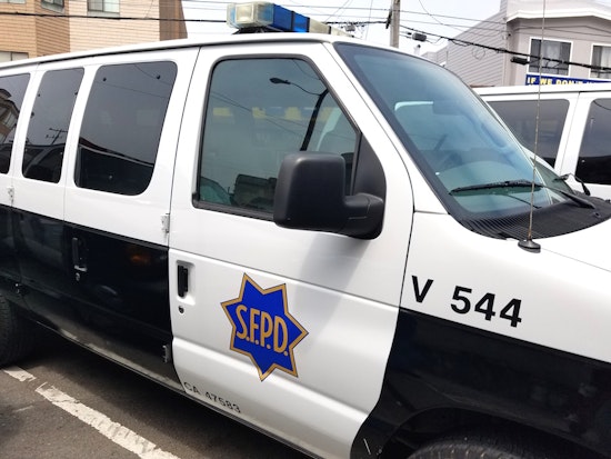 Outer Sunset Crime & Safety: Tree Arsons, Samurai Sword Stabbing, Lake Merced Assault & More