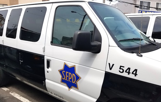 Outer Sunset Crime & Safety: Tree Arsons, Samurai Sword Stabbing, Lake Merced Assault & More