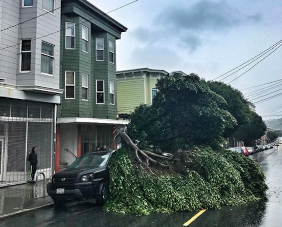 Storm Report: Downed Trees, Collapsed Scaffolding, Power Outages Cause Headaches Around SF