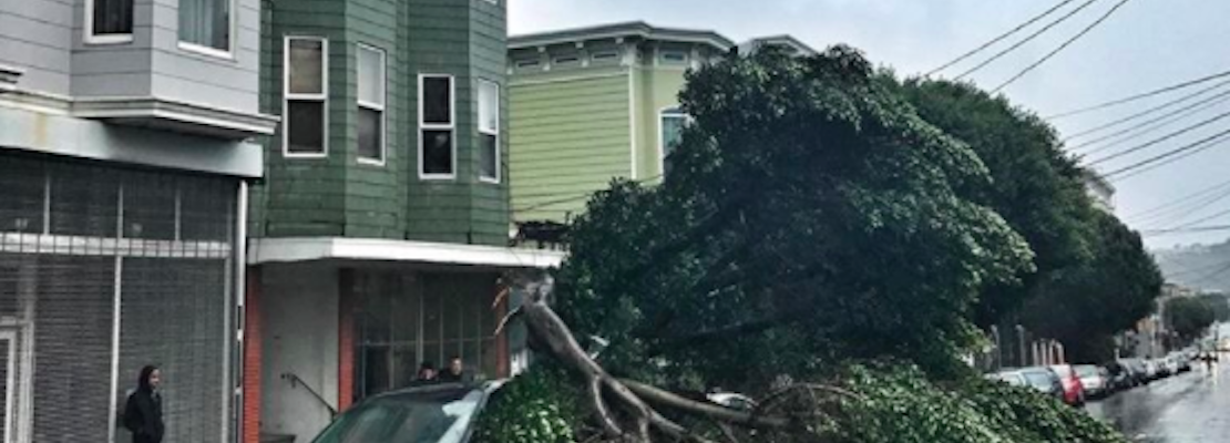 Storm Report: Downed Trees, Collapsed Scaffolding, Power Outages Cause Headaches Around SF