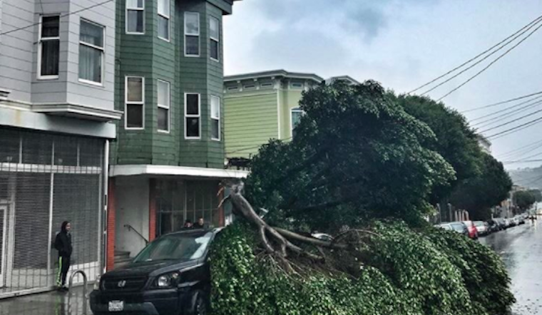 Storm Report: Downed Trees, Collapsed Scaffolding, Power Outages Cause Headaches Around SF