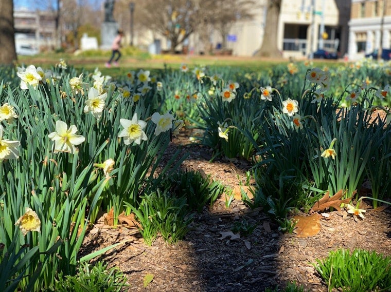 Raleigh enjoys warming weather, with clouds on the way