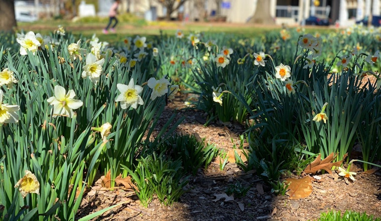 Raleigh enjoys warming weather, with clouds on the way