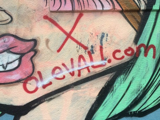 What's The Deal With This Serial Vandal?